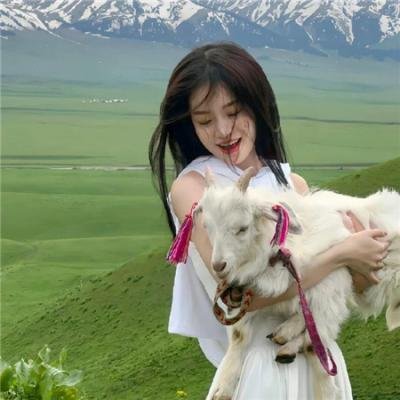 蝶变计划海报